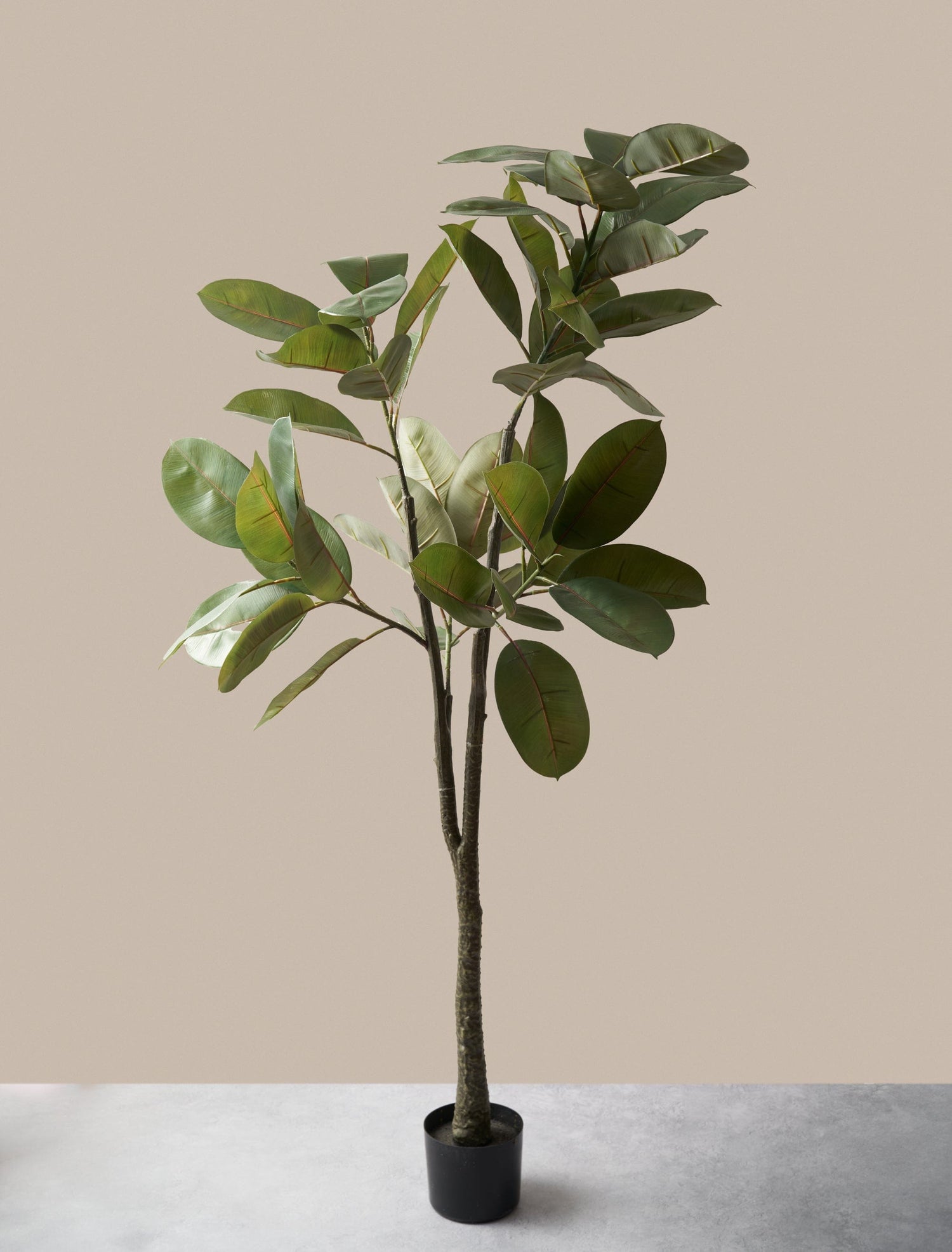 Konstgjort Träd Ficus Elastica